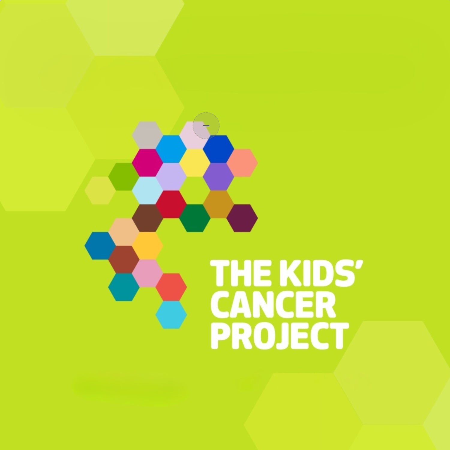 Make a Donation to The Kids Cancer Project